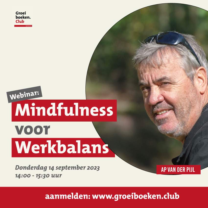 Webinar: Mindfulness voor Werkbalans